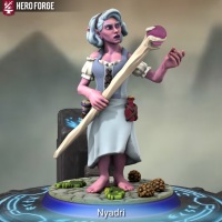 Nyadri mini
